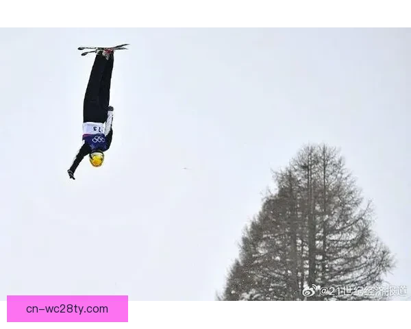 桃心连失误空中技巧混团铜牌